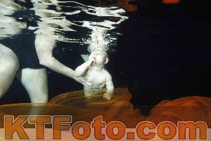 Photo 4316120