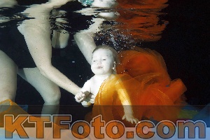 Photo 4316125