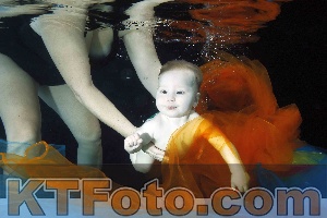 Photo 4316126
