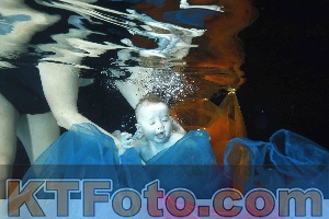 Photo 4316129