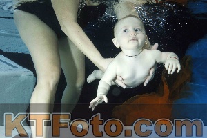 Photo 4316134