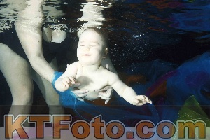 Photo 4316149