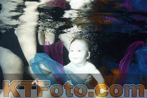 Photo 4316152