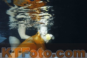 Photo 4316154