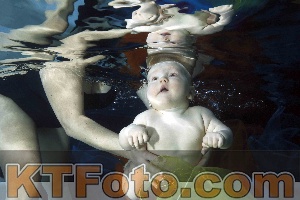 Photo 4316158