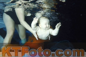 Photo 4316161