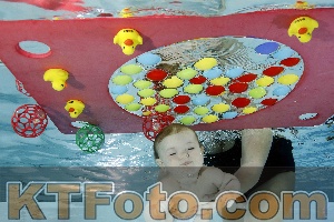Photo 4316189