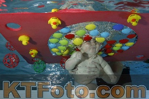 Photo 4316190