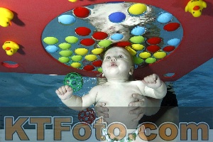 Photo 4316193