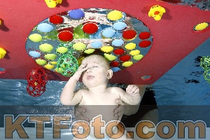 Photo 4316196