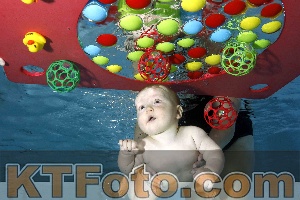 Photo 4316198
