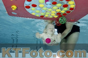 Photo 4316199