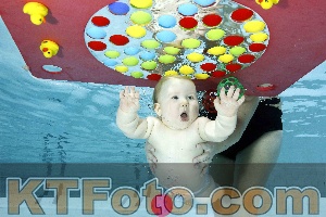 Photo 4316201