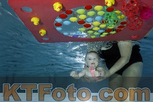 Photo 4316202