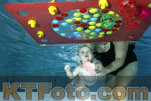 Photo 4316203