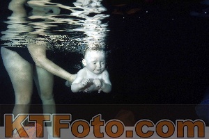 Foto 4316242