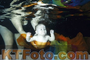 Foto 4316267
