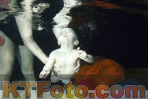 Foto 4316271