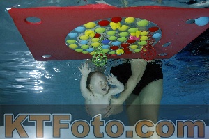 Foto 4316305