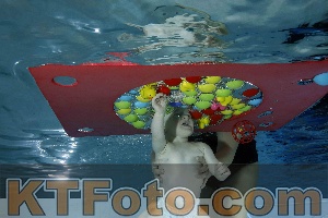 Foto 4316307