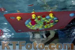 Foto 4316308