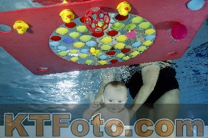 Foto 4316312