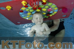 Foto 4316313