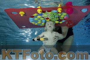 Foto 4316315