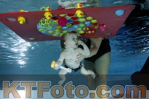 Foto 4316317