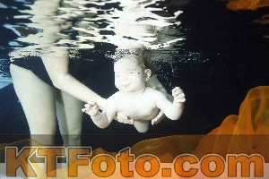 Photo 4316337