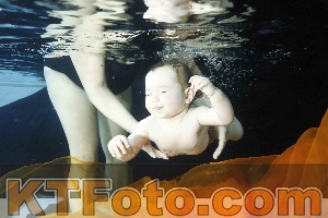 Photo 4316338