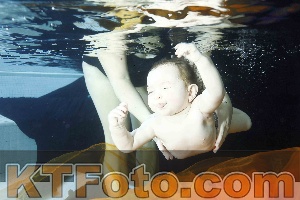 Photo 4316339