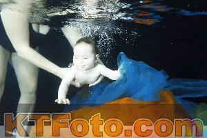 Photo 4316345