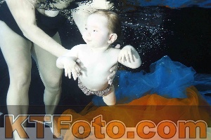 Photo 4316347