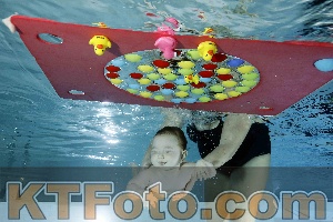 Foto 4316366