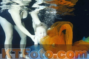 Photo 4316406