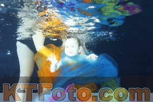 Photo 4316408