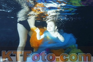Photo 4316410