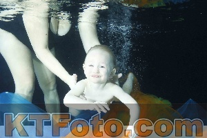 Photo 4316418