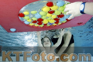 Photo 4316435