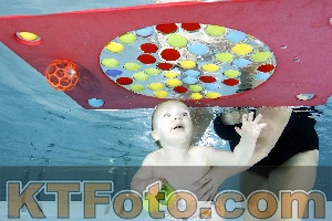 Photo 4316447