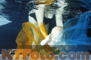 Photo 4316492