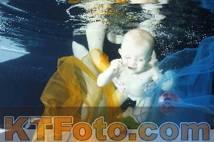 Photo 4316493