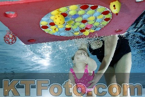 Photo 4316527