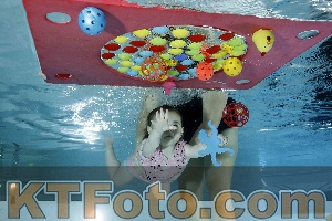 Photo 4316530