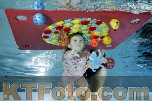 Photo 4316531