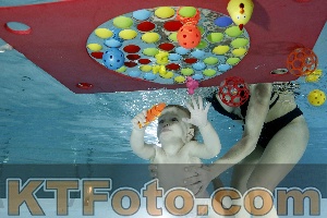 Photo 4316533
