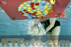 Photo 4316535