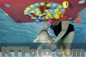 Photo 4316536
