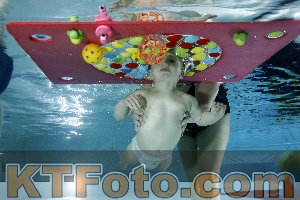 Foto 4316609